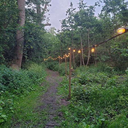 Ecolodges De Dreef Guesthouse Renesse Bagian luar foto