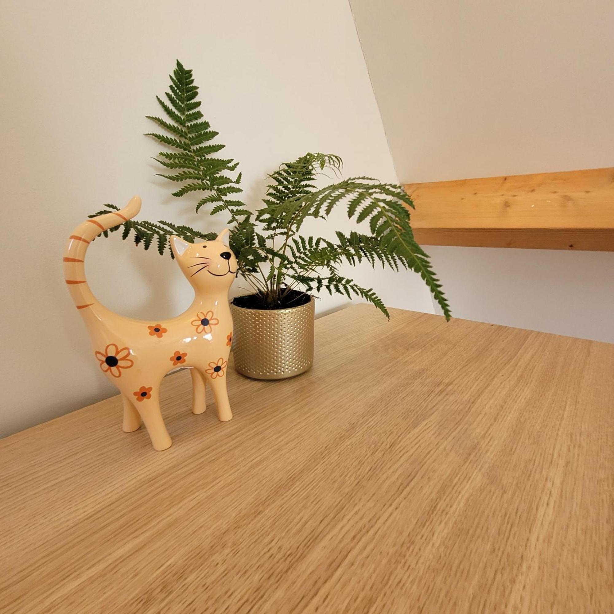 Ecolodges De Dreef Guesthouse Renesse Bagian luar foto